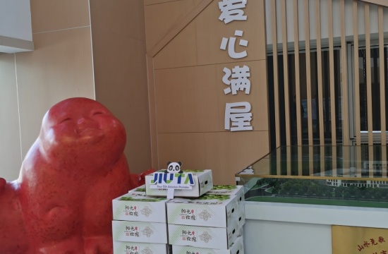 赢乐67官网是什么爱心月捐赠活动